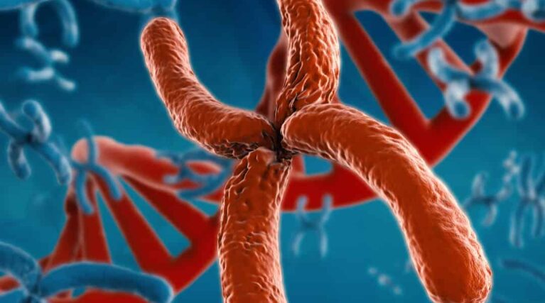 Website-Square-Images-5 Telomere testing