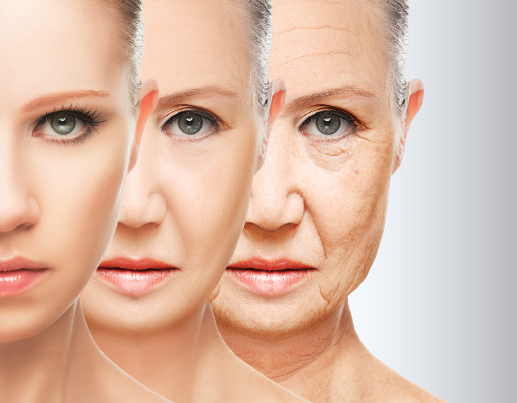 different stages of ageing in a woman's face